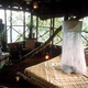 Illustration for article titled Bellavista's Biodigesting Treehouses Are Endor on Earth
